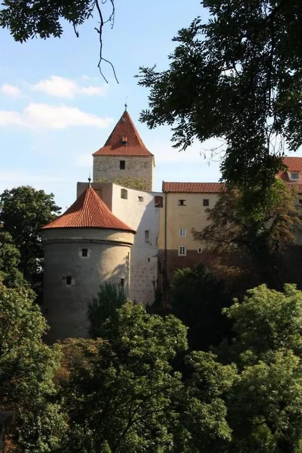 Huge 5 Bedrooms Apartment Near Prague Castle 0*,  Czech Republic